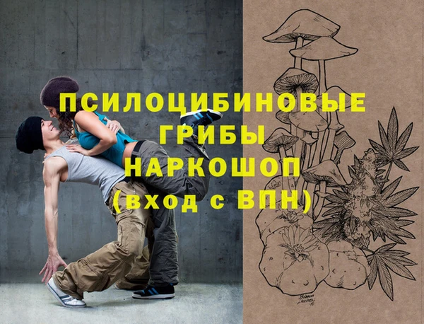 spice Алексеевка