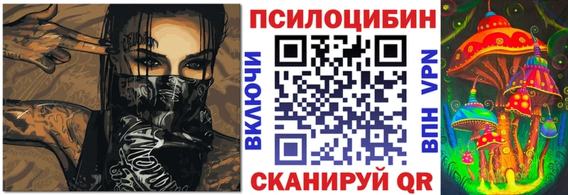 магазин    Осташков  Галлюциногенные грибы Cubensis 